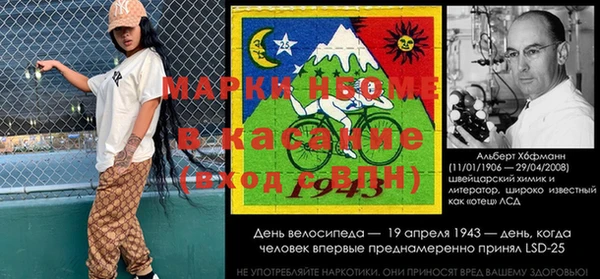 твердый Алзамай
