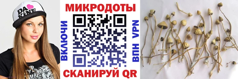 Псилоцибиновые грибы мухоморы  площадка как зайти  Балашов  как найти закладки 