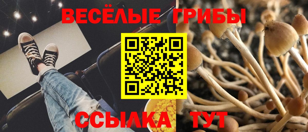 Галлюциногенные грибы MAGIC MUSHROOMS Балашов