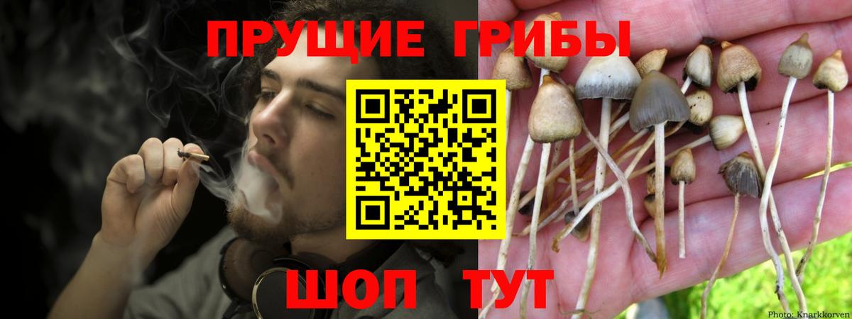 Балашов  Галлюциногенные грибы мухоморы  купить наркотики сайты  Вход с VPN 
